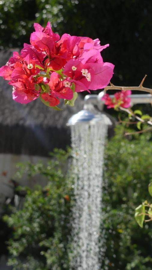 Estrela Azul Guest House Buzios Exterior photo